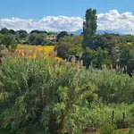 Delle Camelie Palestrina